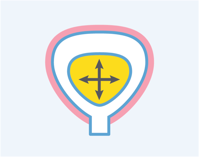 Icon depicting bladder surrounded by smooth muscle