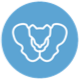 Icon of pelvic bones